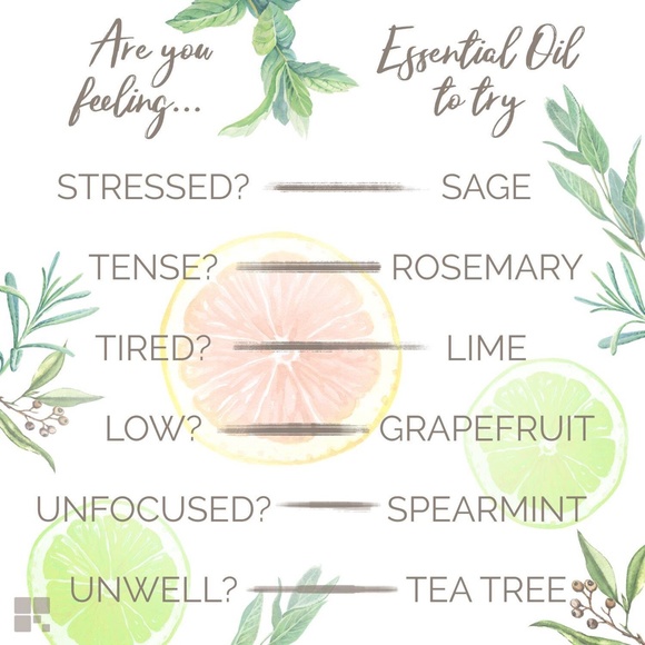 NWOT Essential Oils RESVERALIFE Complete Harmony Aromatherapy Set of 6! - Picture 6 of 7